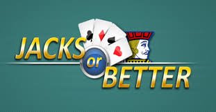 app 555win